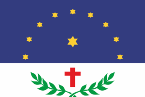 Bandeira_Salgueiro